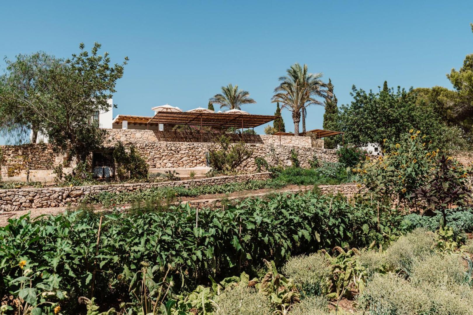 Villa Aguamadera Santa Eularia des Riu Esterno foto