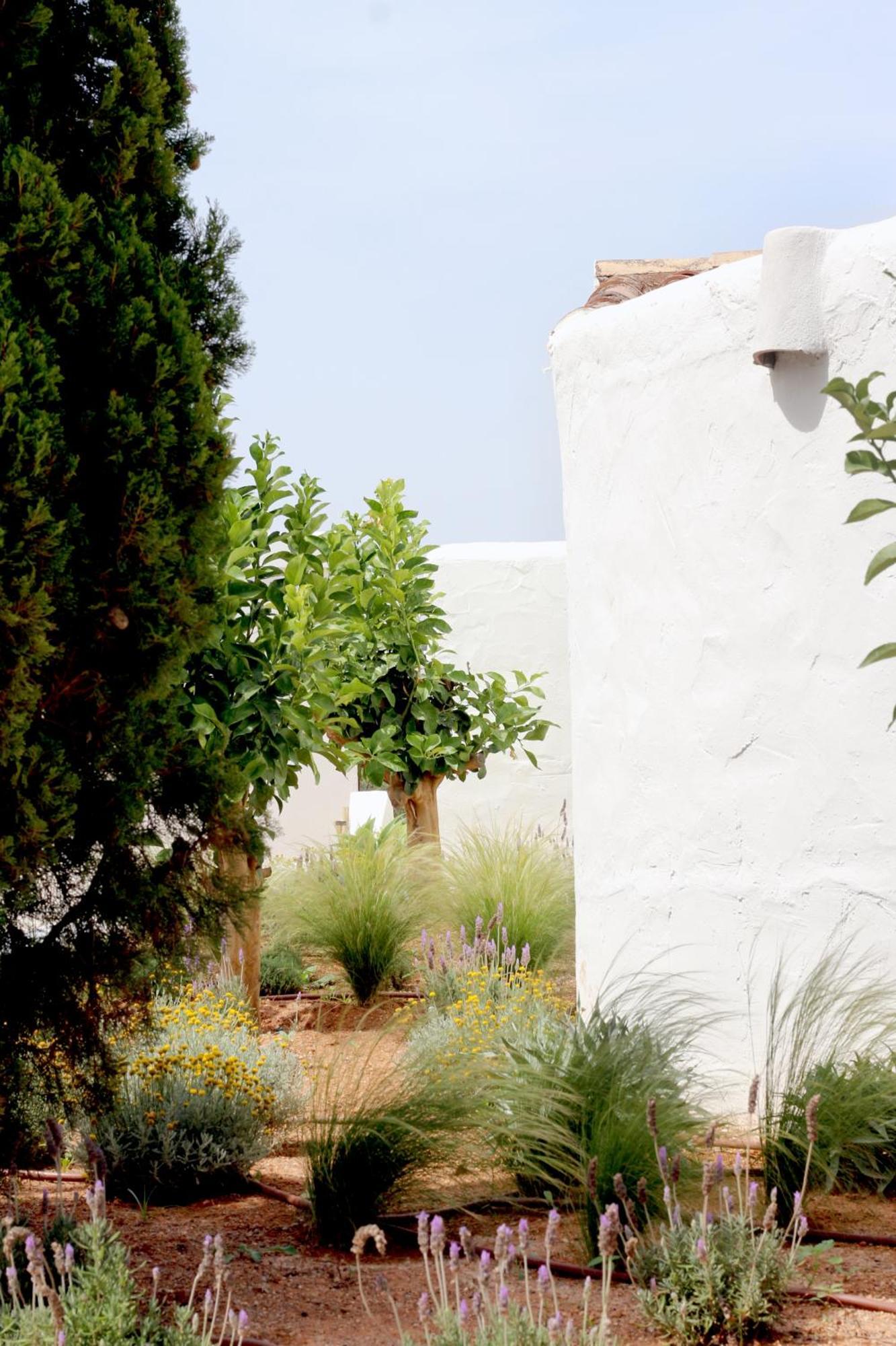 Villa Aguamadera Santa Eularia des Riu Esterno foto
